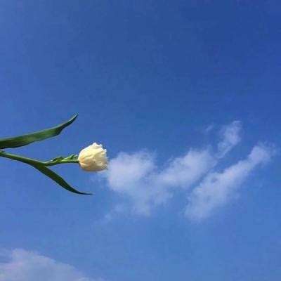九游太初行手游下载