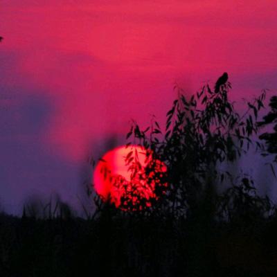 健达奇幻app免费下载